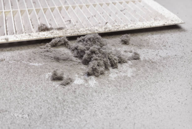 Best Local Air Duct Cleaning Services  in San Martin, CA